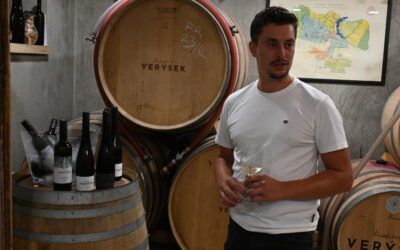 Bedýnka vinařství Verýsek