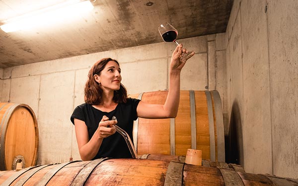 Vinařství Faber-Köchl, vánoční nabídka 2025